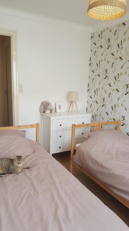 Chambres D'Hotes Au Centre De Guéméné-sur-Scorff 외부 사진